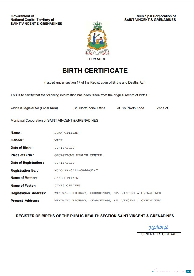 Download Saint Vincent & Grenadines vital record birth certificate Word and PDF template Photoshop template